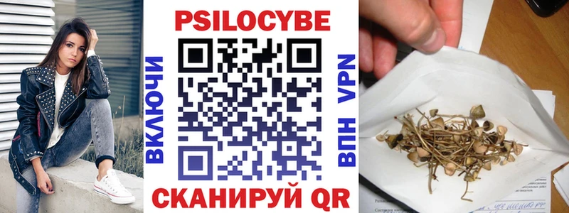 ОМГ ОМГ вход  Артём  Галлюциногенные грибы Cubensis  дарнет шоп 